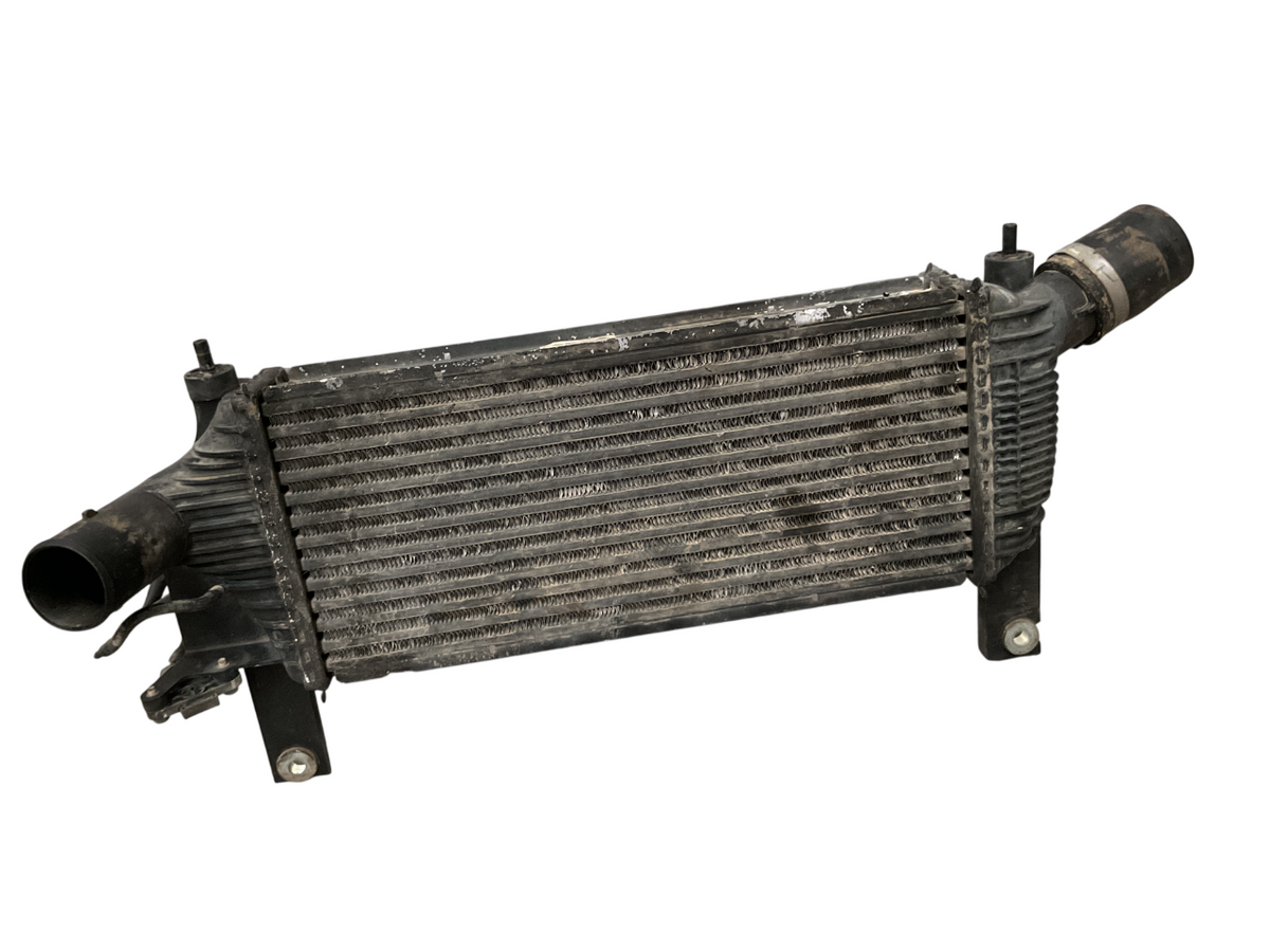Intercooler Navara Pathfinder 05-15 14461EB360 _