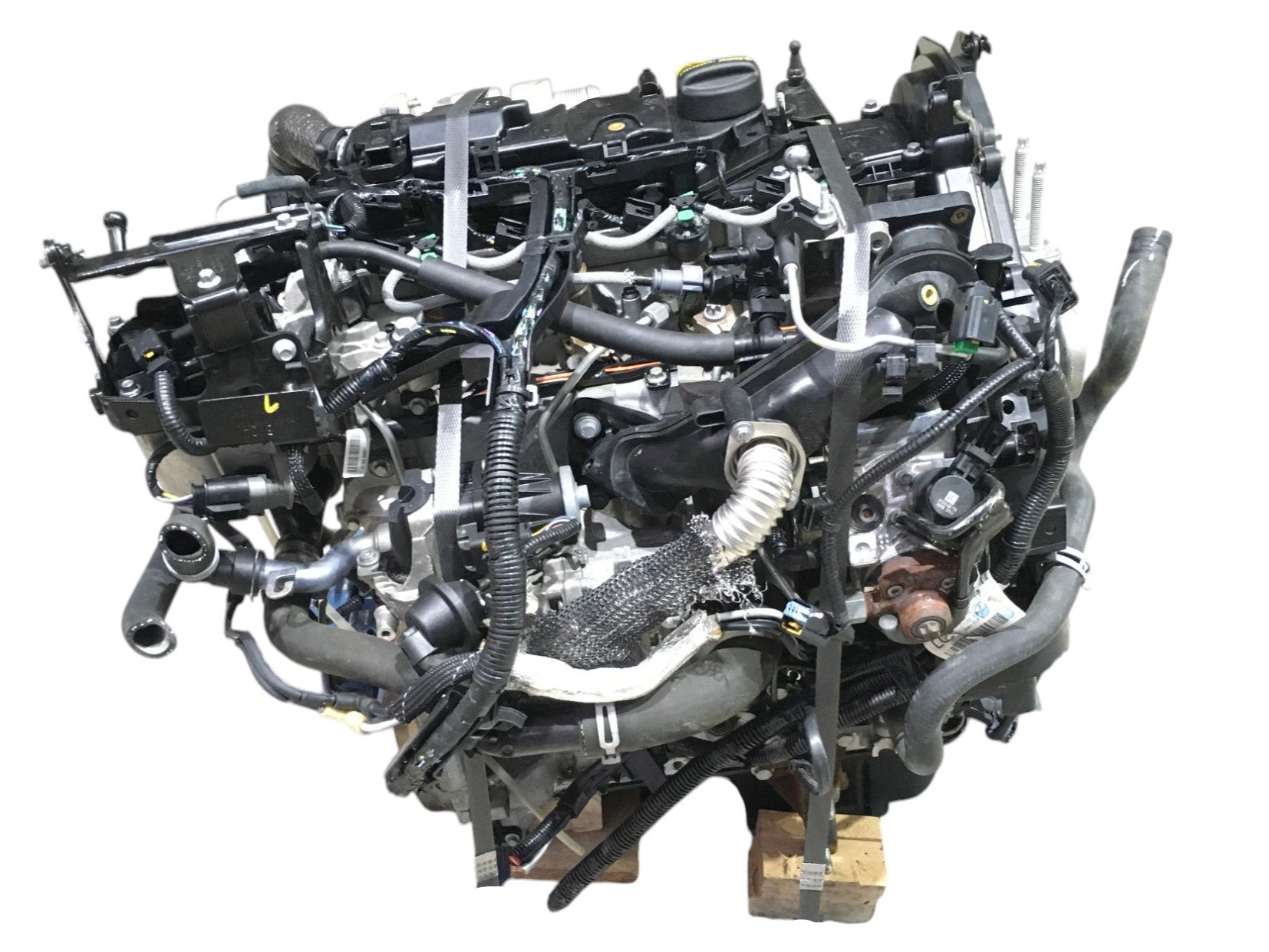 Motor Ford 1.5 TDCI CV1Q