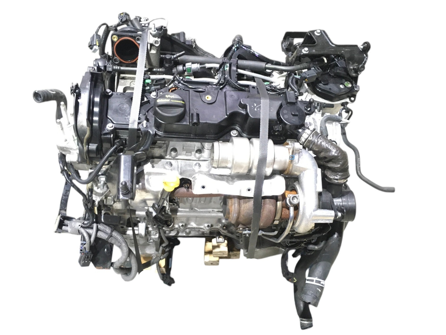 Motor Ford 1.5 TDCI CV1Q