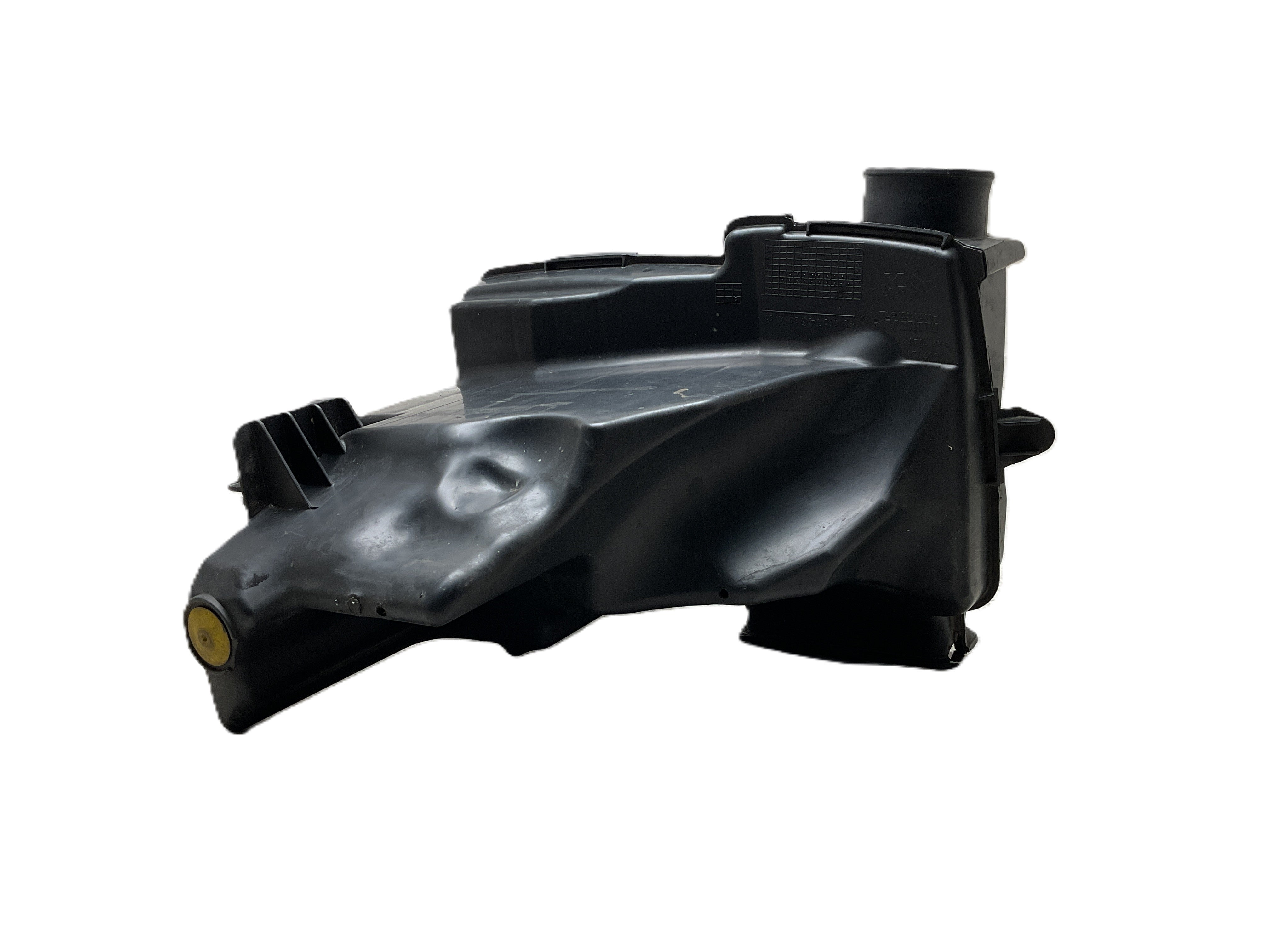 resonador admisión aire Citroën C4