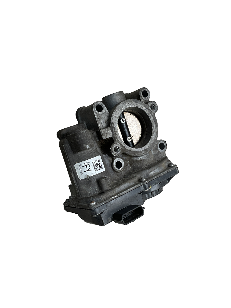 Caja mariposa Renault Scenic III 12-16