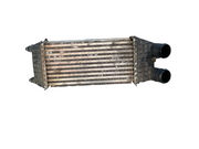 Intercooler PSA 9803900780