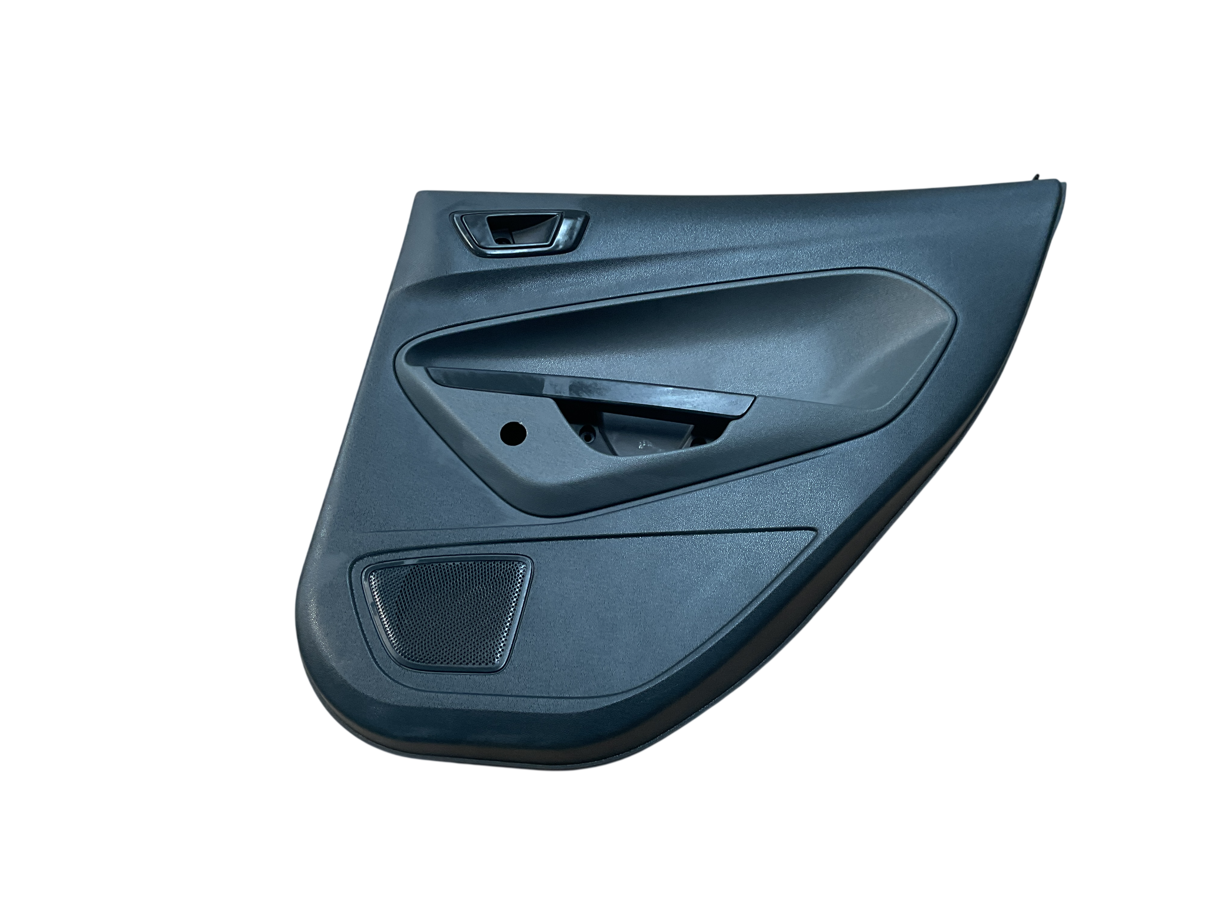 Panel puerta tra dcha Ford fiesta VI 08-17