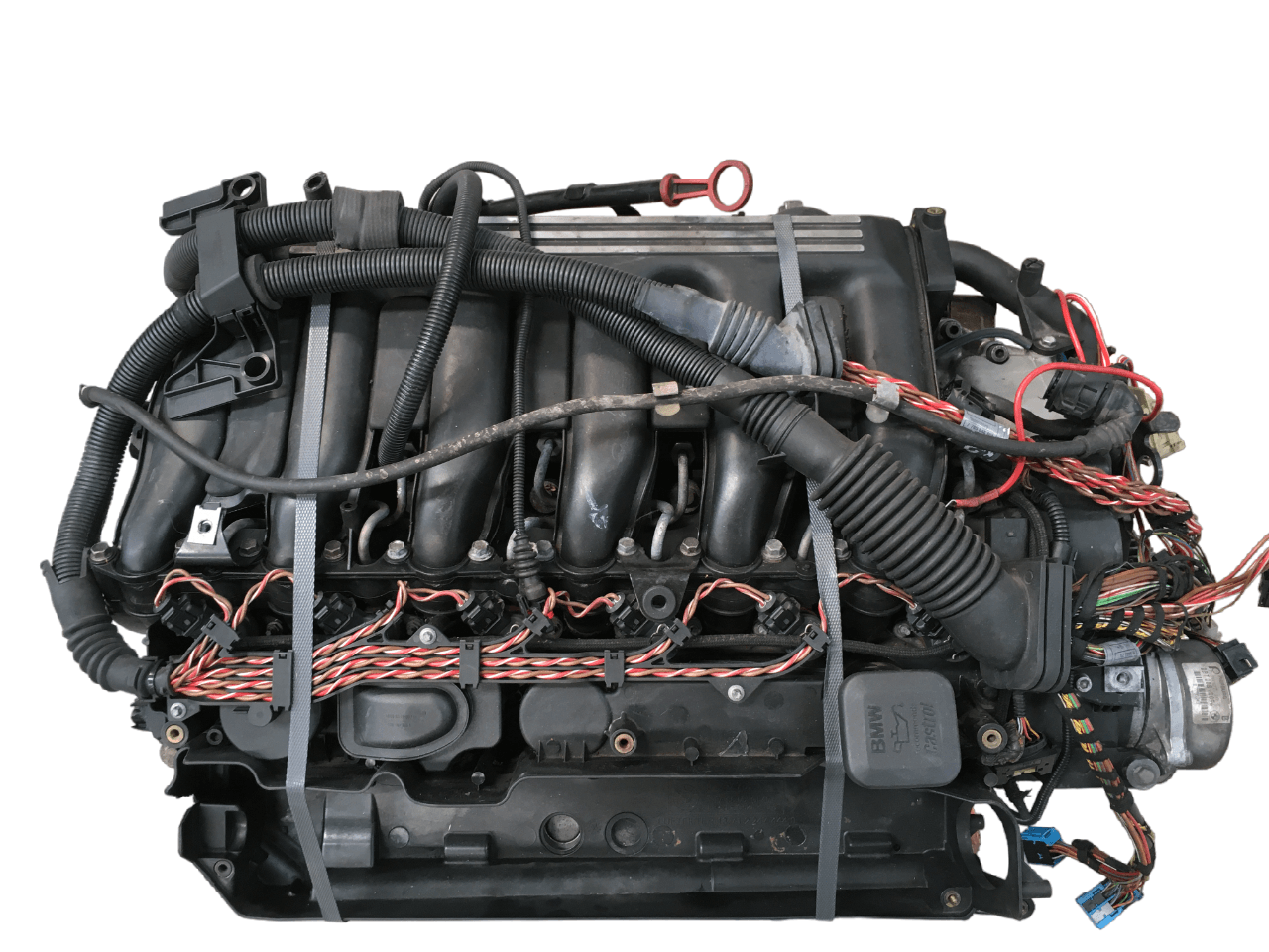 Motor Bmw 3.0d 306D1 - AutoRR 306D1