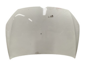 Capot delantero VW GOLF VII 12-20