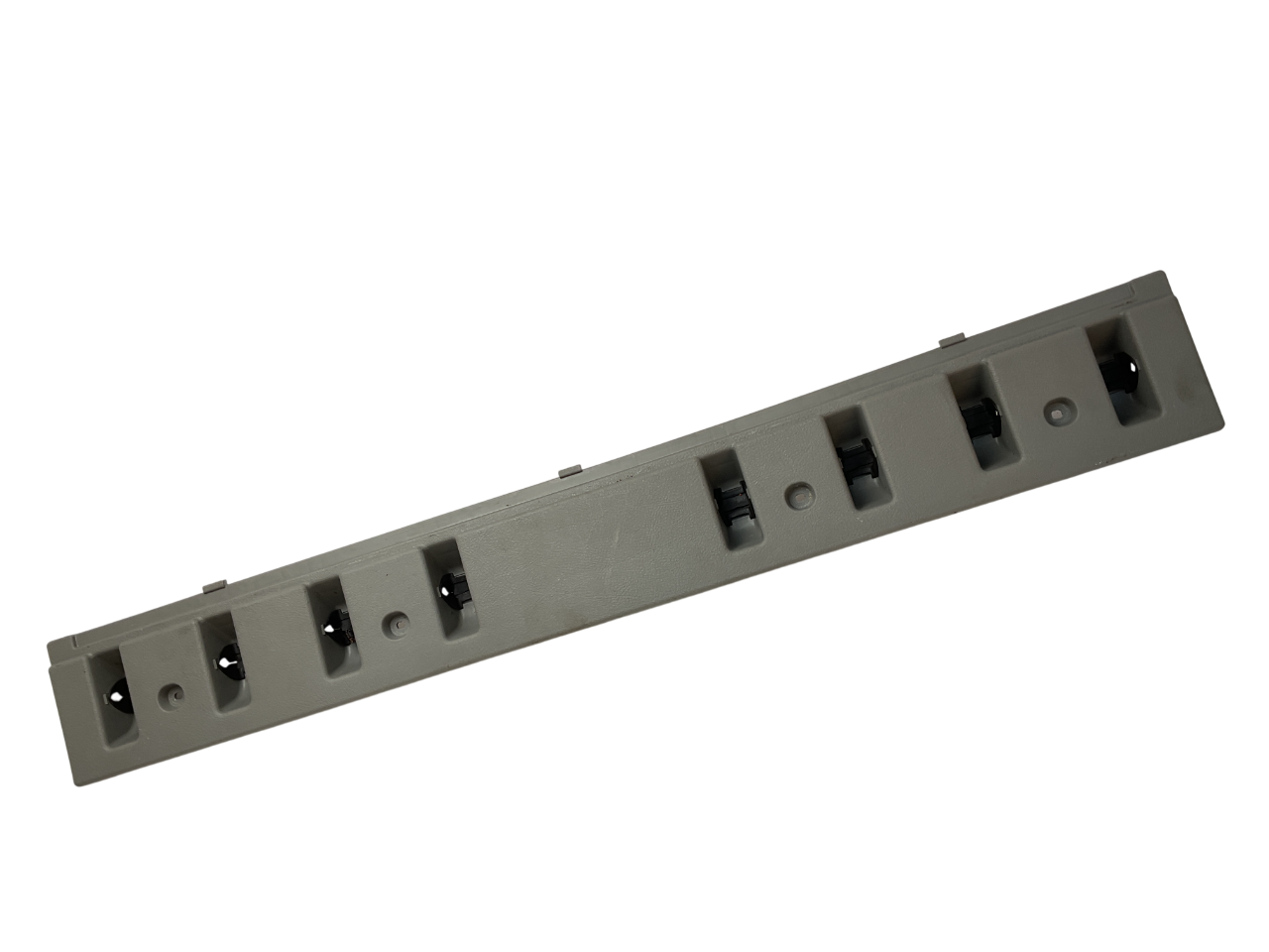 Moldura Porton Renault Scenic 99-04