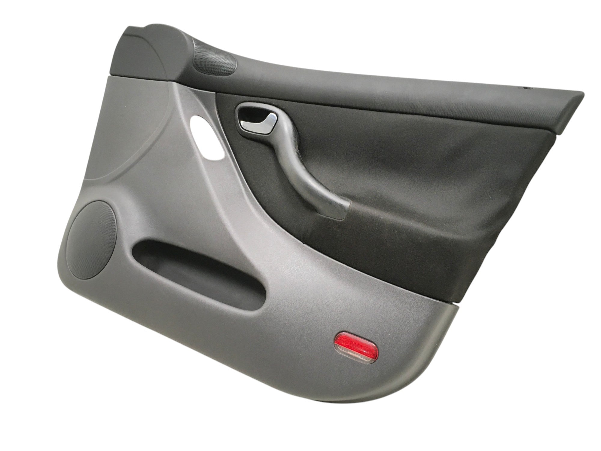 Panel puerta del dcha Seat leon 1M1