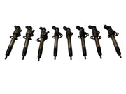 Inyectores Range Rover L322 2002-2012