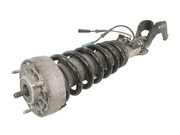 Amortiguador delantero muelle BMW E70 - 37116788761