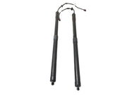 Amortiguador maletero Range Rover Sport II L494 - CPLA70354BC