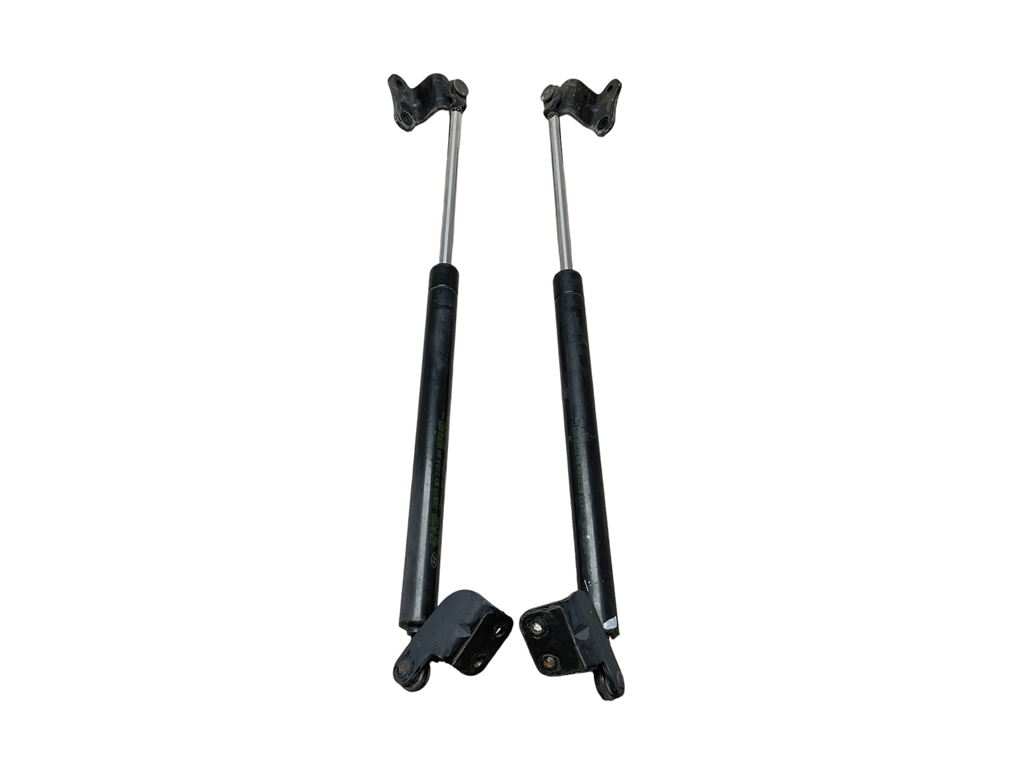 Amortiguadores Capo Hyundai Terracan 01-07 - 85740H1600