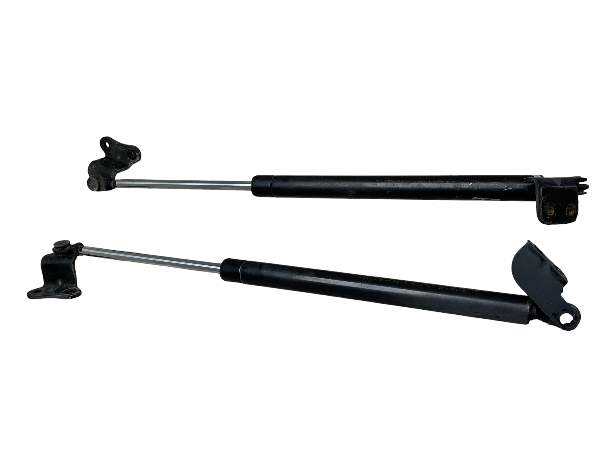 Amortiguadores Capo Hyundai Terracan 01-07 - 85740H1600