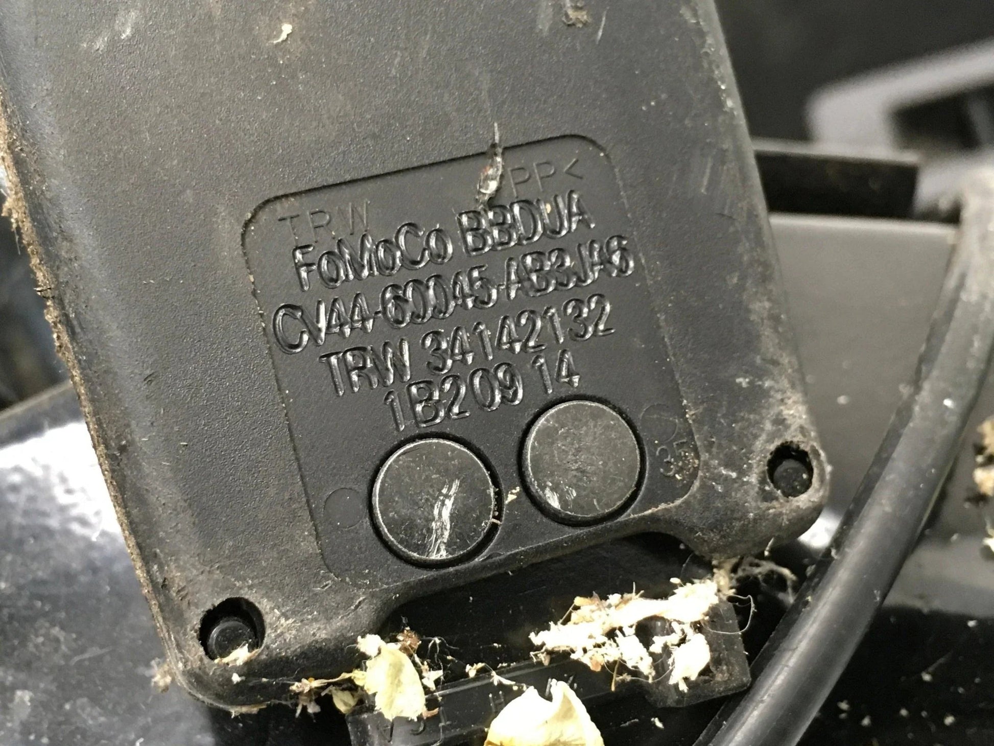 Asientos traseros Ford Kuga II