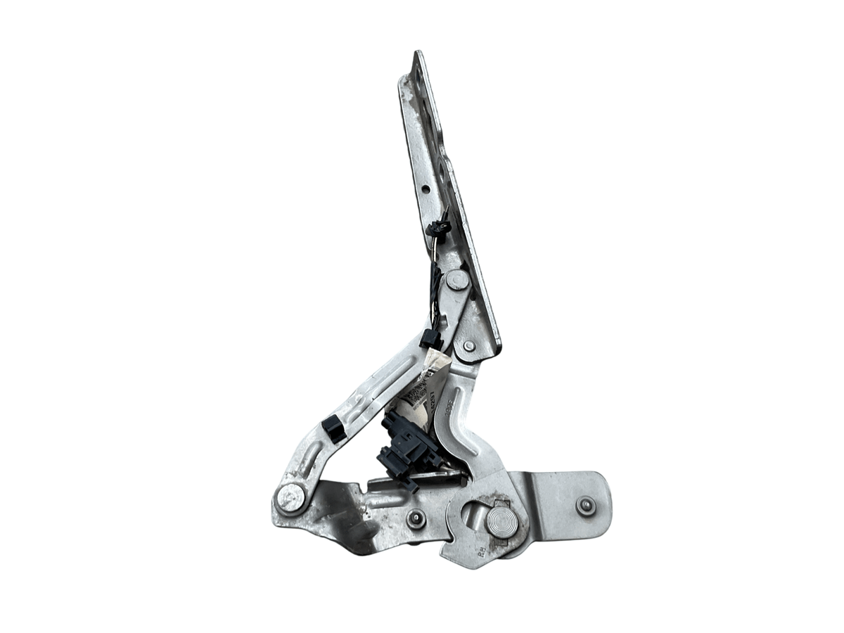 Bisagra dcha capo Ford Connect II 13-22 - AM5116800