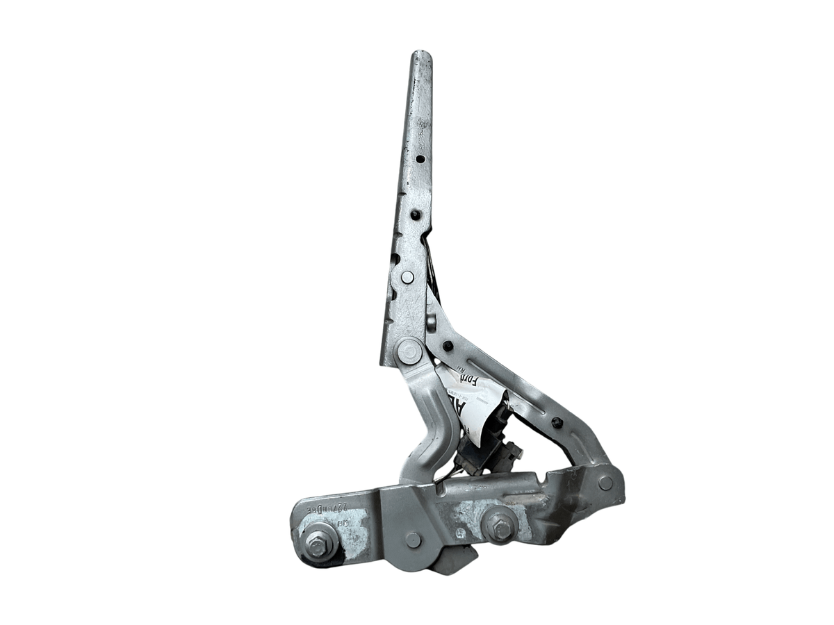 Bisagra dcha capo Ford Connect II 13-22 - AM5116800