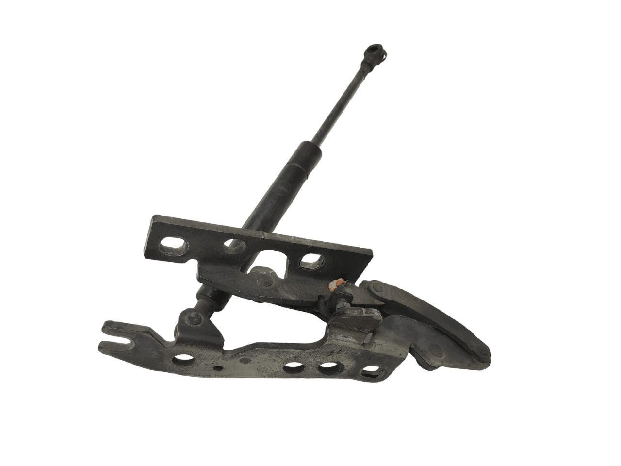 Bisagra derecha capo BMW X5 E53 - 8402174