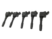 Bobinas encendido VW 06H905110L - 06H905110L