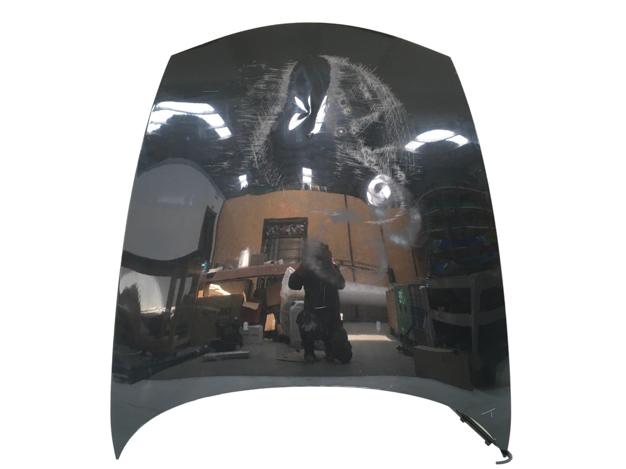 Capo BMW Z4 E85 / E86 - 41617180228 _