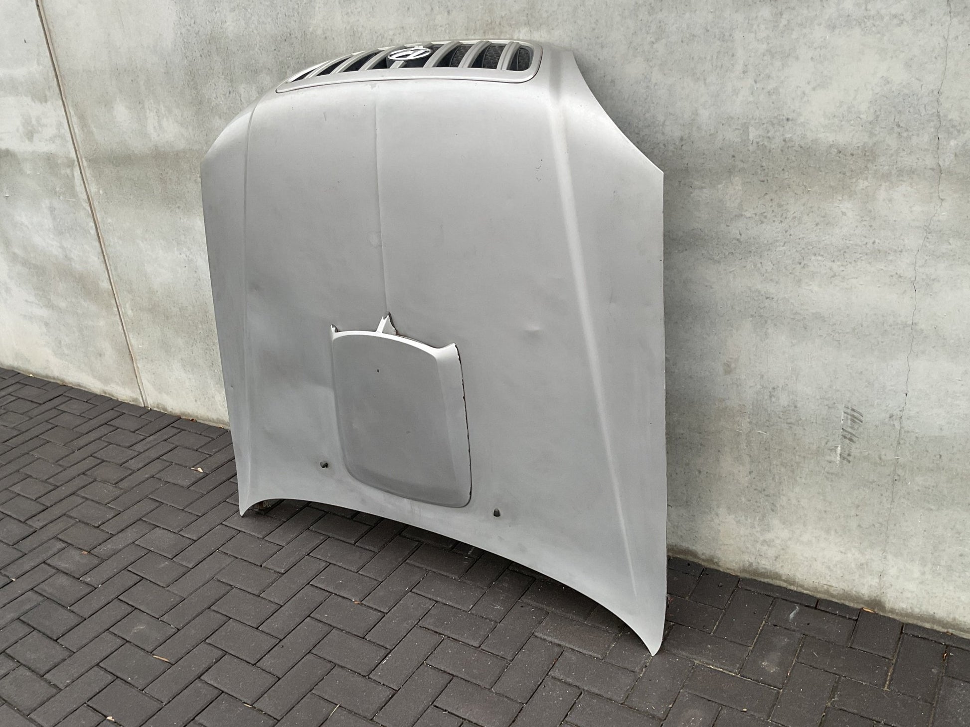 Capot Hyundai Terracan 2001-2007 - 79000H1211