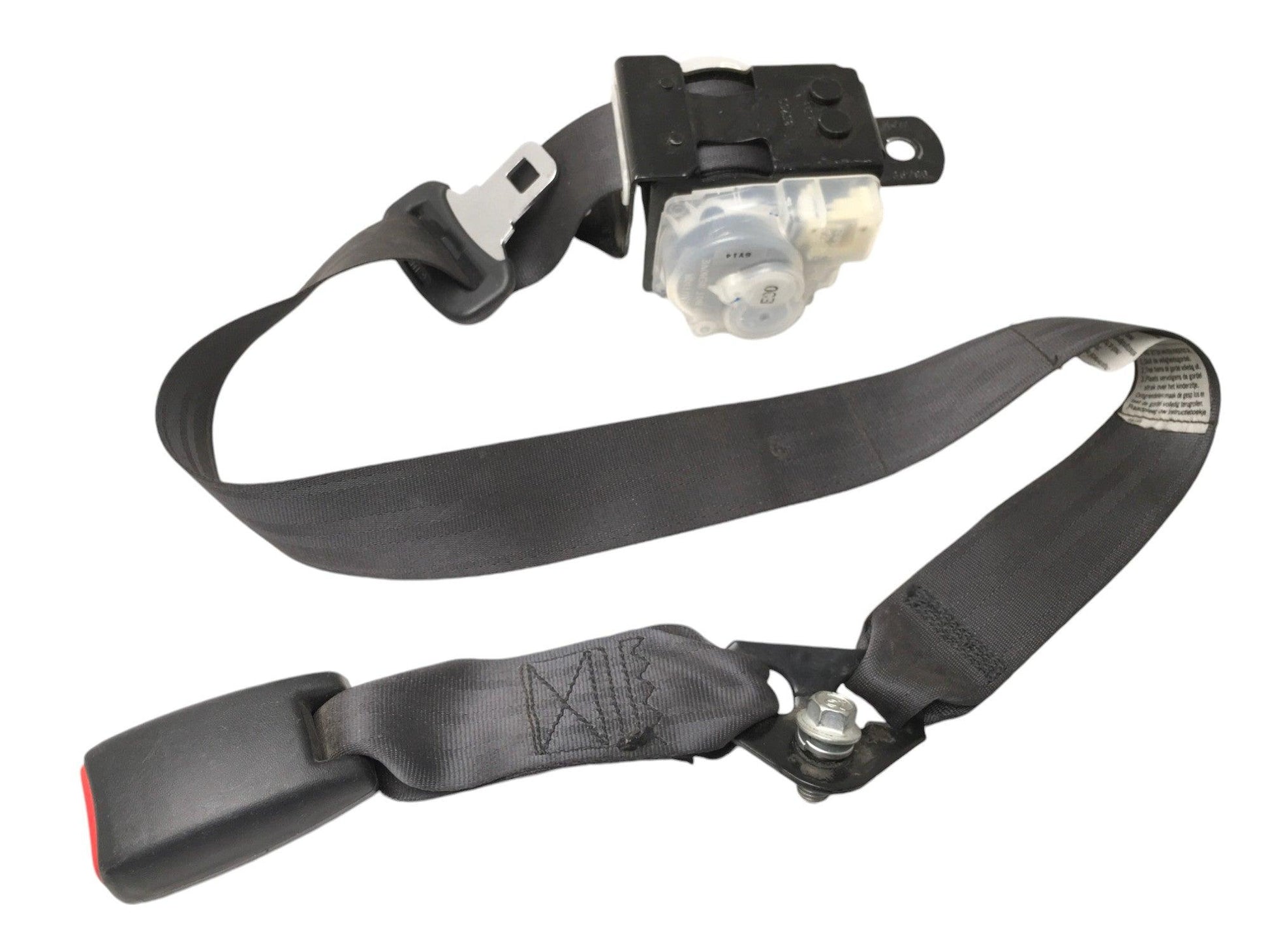 Cinturon tra central Honda Accord VII - NSB053GK58