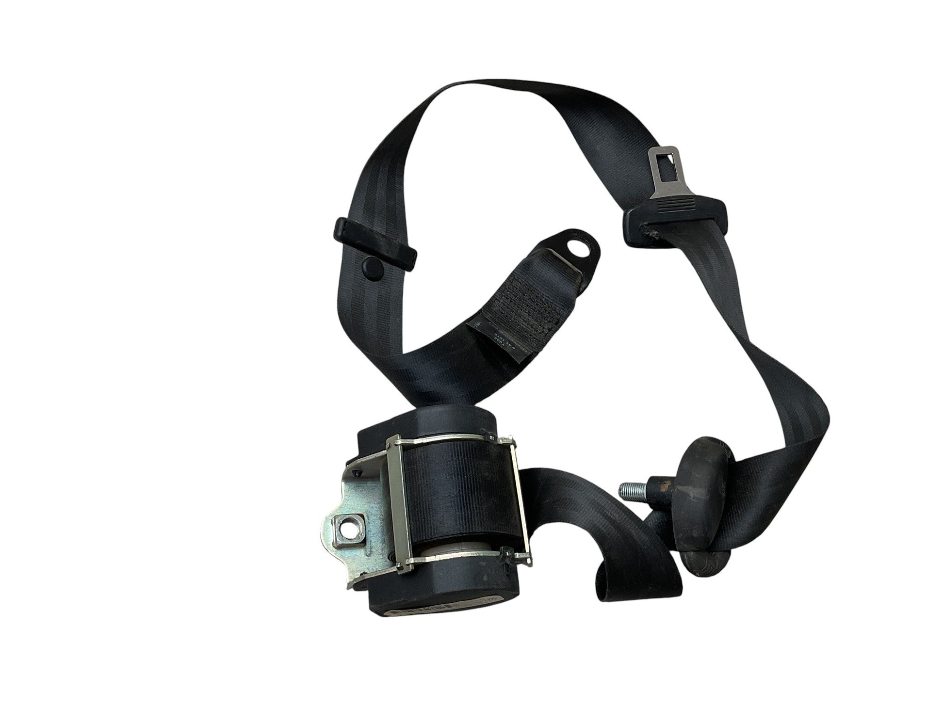 Cinturon tra izq Bipper Nemo Fiorino 07 - 13 - 7354644360E