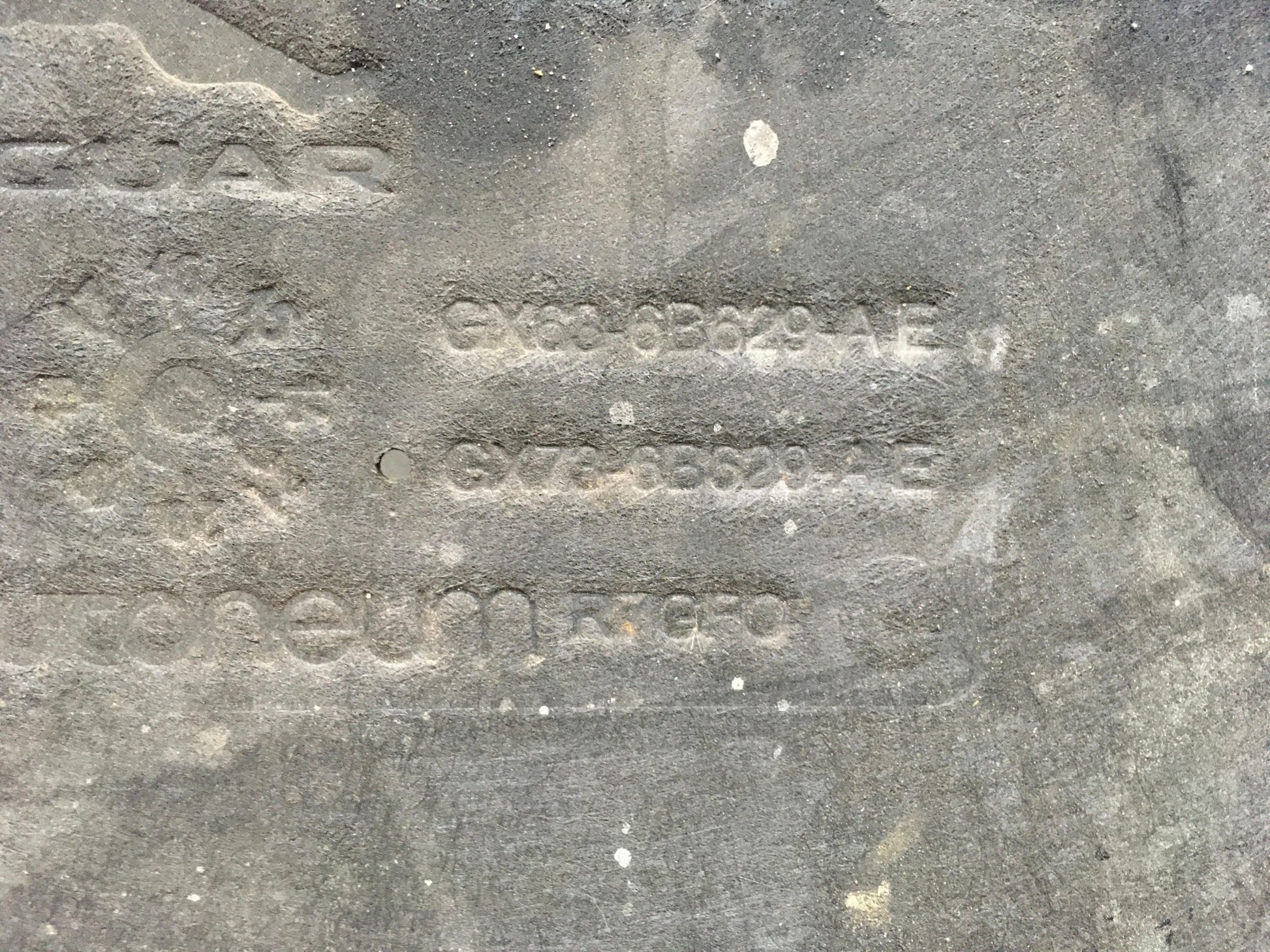 Cubrebajos Jaguar XE / XF II - GX636B629AC