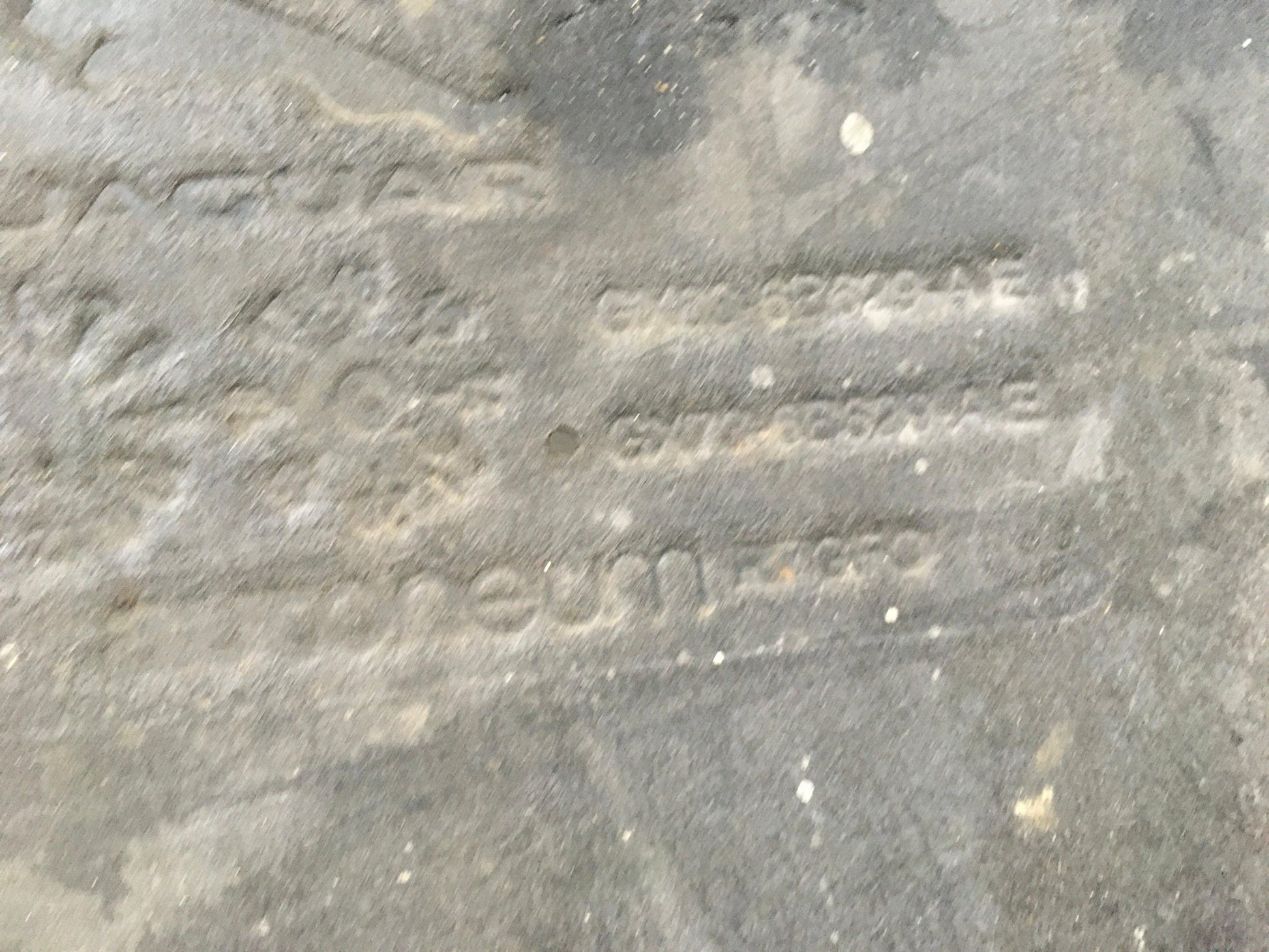 Cubrebajos Jaguar XE / XF II - GX636B629AC