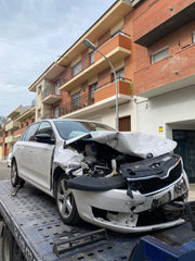 DESPIECE SKODA RAPID - 