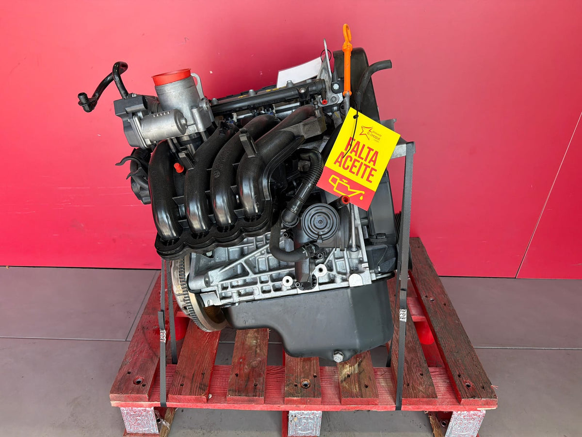 Motor Completo Seat Ibiza 2011 CGG