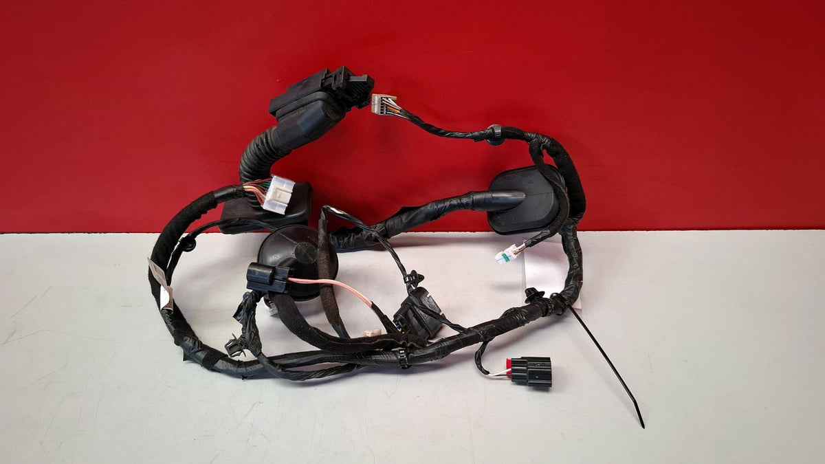 Cableado Puerta Delanterea Izquierda Kia Clio 2018 91600F1270
