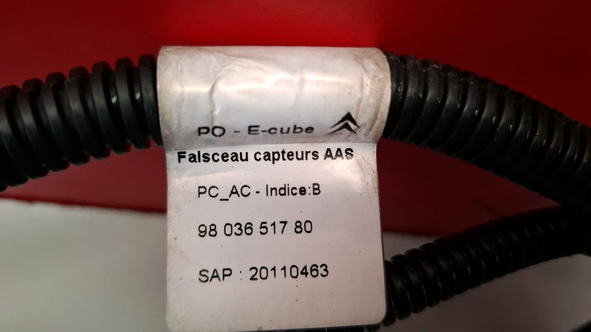 Cableado Sensores Trasero Citroen C4 Cactus 2016 9803651780 9803651780