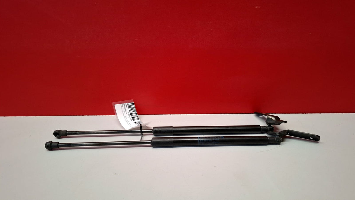 Amortiguador Porton Trasero Bmw Serie 1 2012 8135620455N 8135620455N
