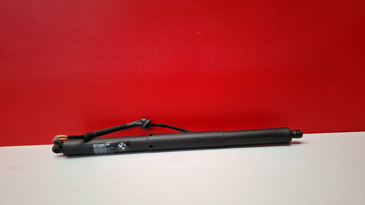 Amortiguador Porton Tra. IZQ. /51240 Bmw X5 2016 7294469 7294469