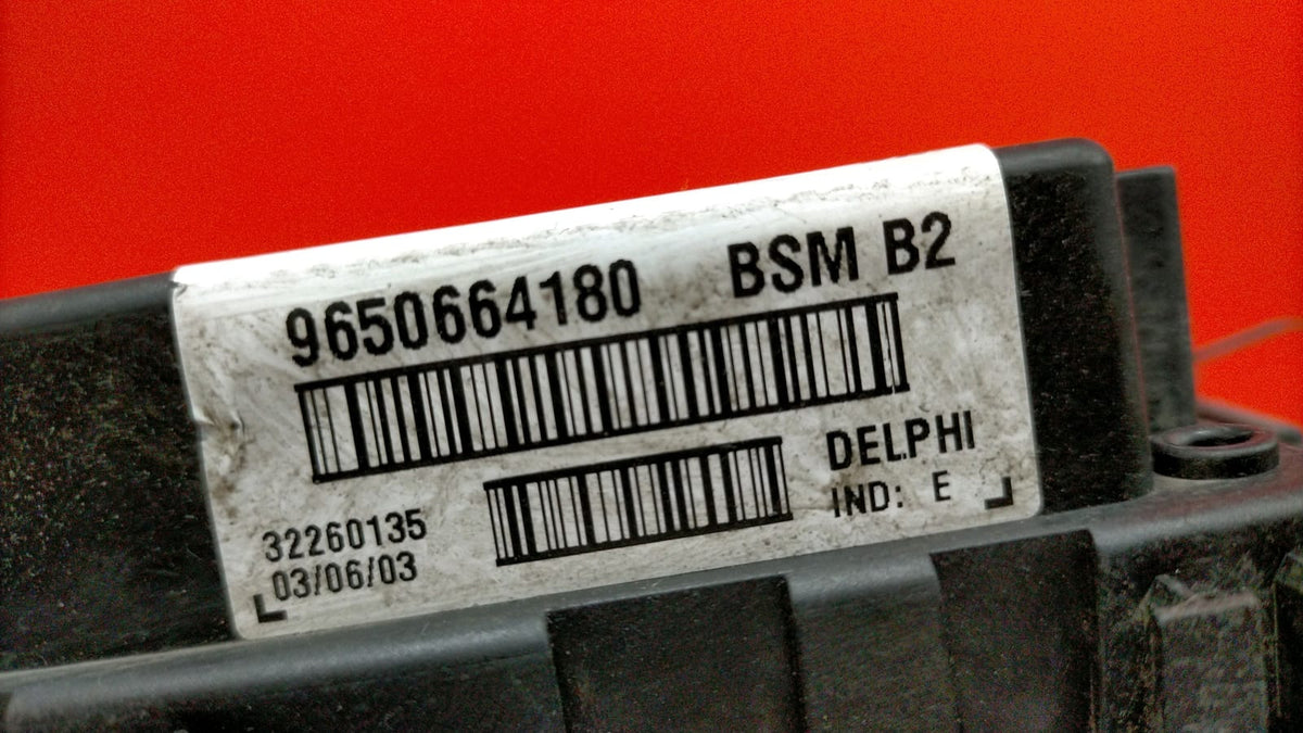 Caja Fusibles Bsm B2 Peugeot 206 2004 9650664180 9650664180
