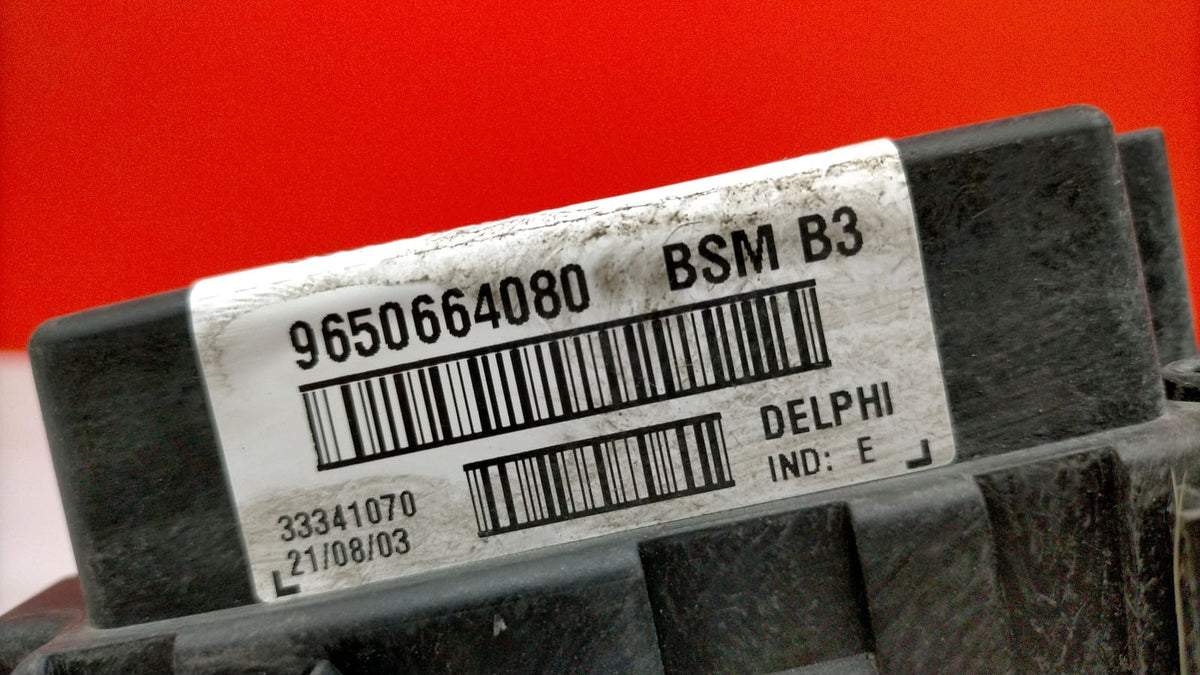 Caja Fusibles Bsm B3 Peugeot 307 2010 9650664080