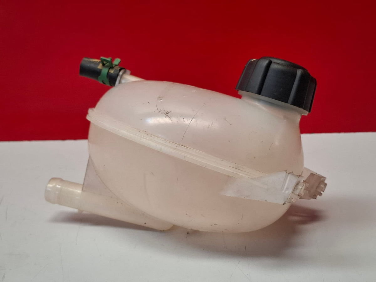 Vaso de Expansion Renault Clio 2016 217107259R