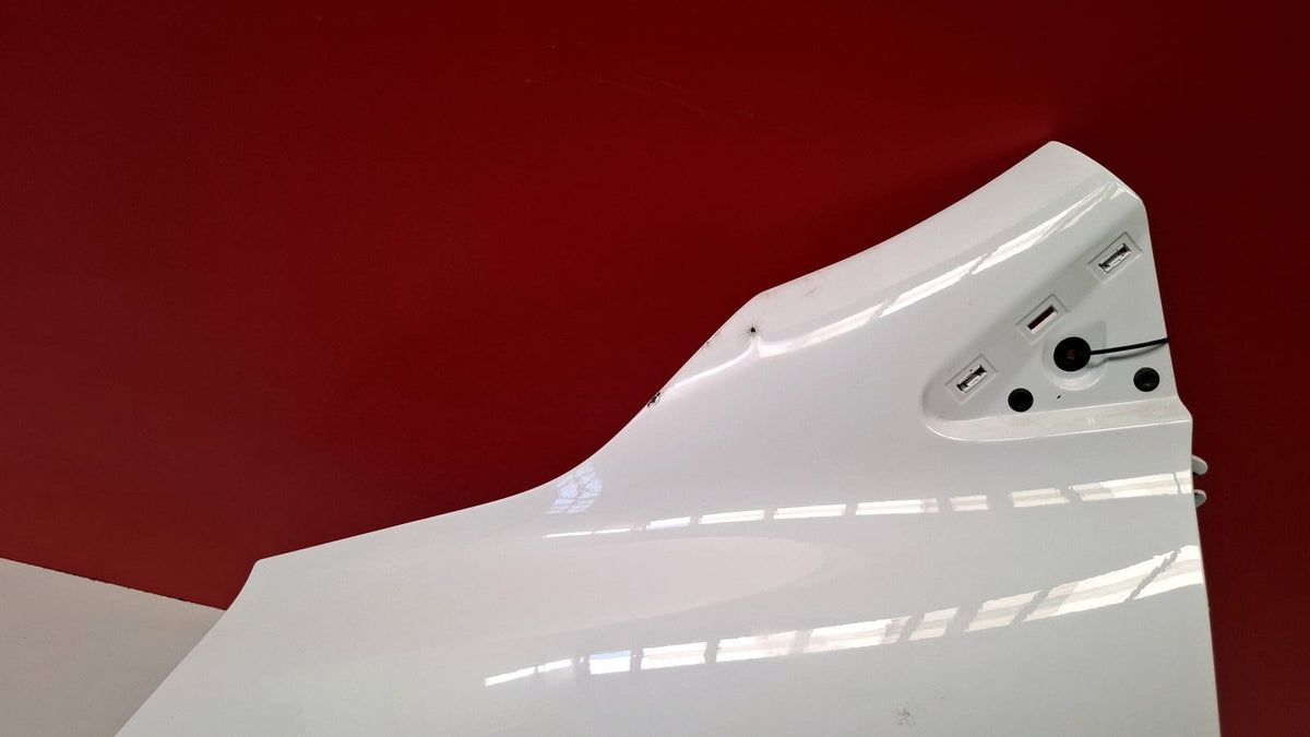 Aleta Delantera Izquierda Renault Clio 2019 631017334R 631017334R