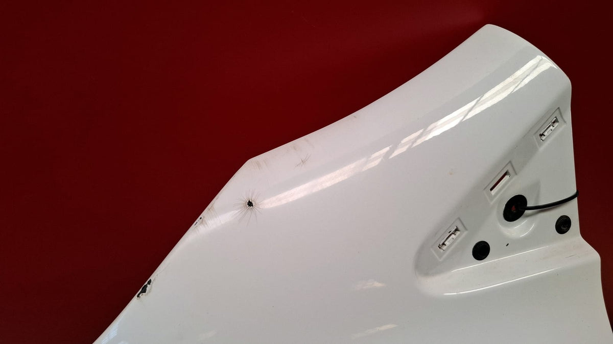 Aleta Delantera Izquierda Renault Clio 2019 631017334R 631017334R