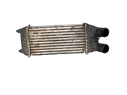 Intercooler PSA 9803900780