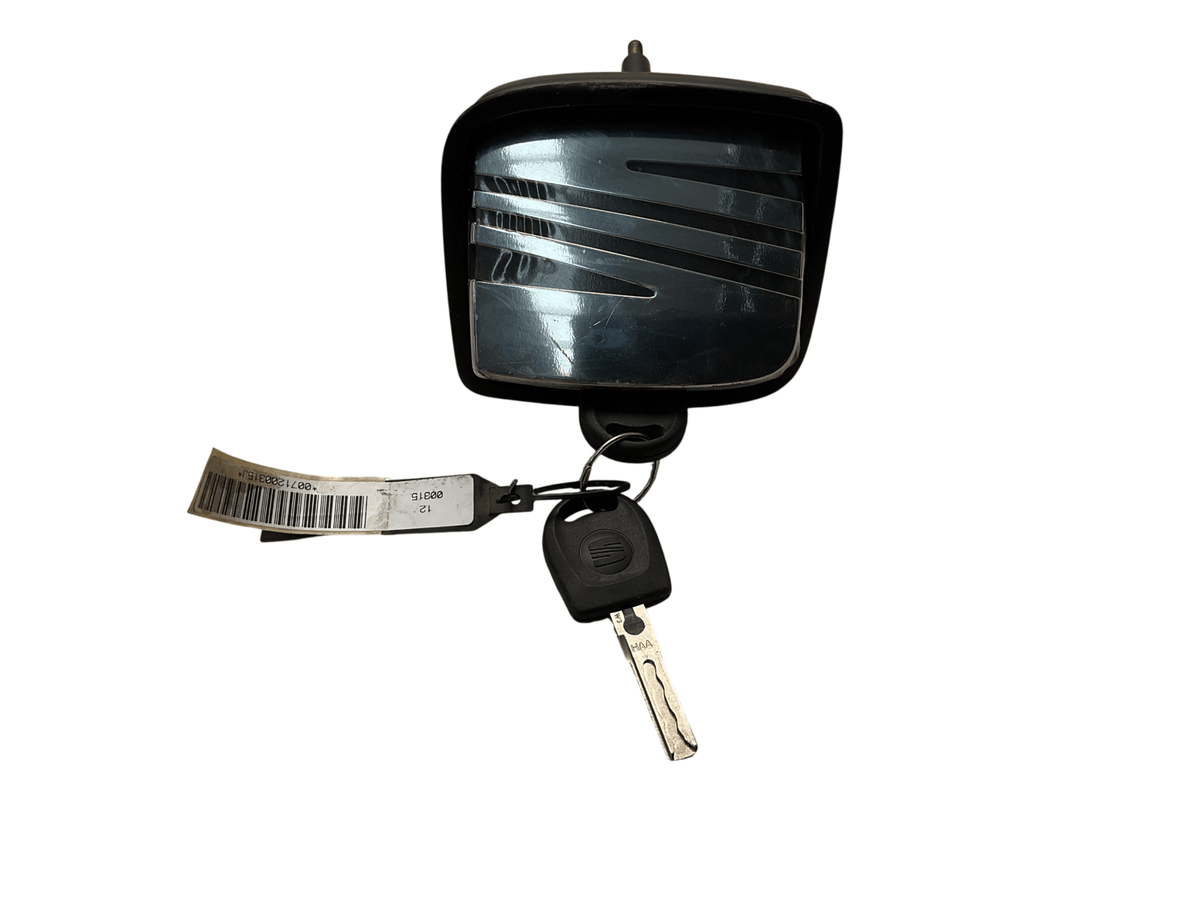 Maneta exterior Maletero Seat Ibiza II (6K1) 99-04 - 6K0827565