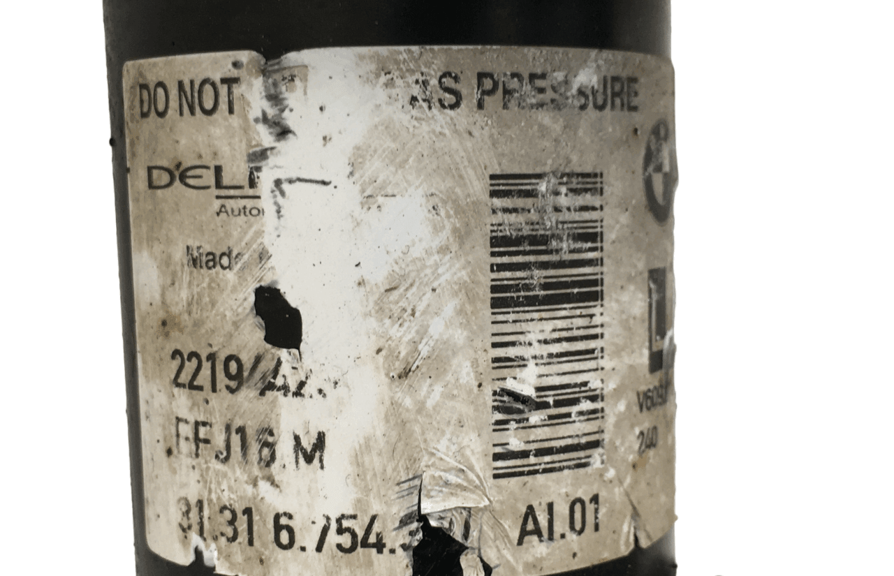 Mangueta izquierda BMW X5 E53 - 31216761575_