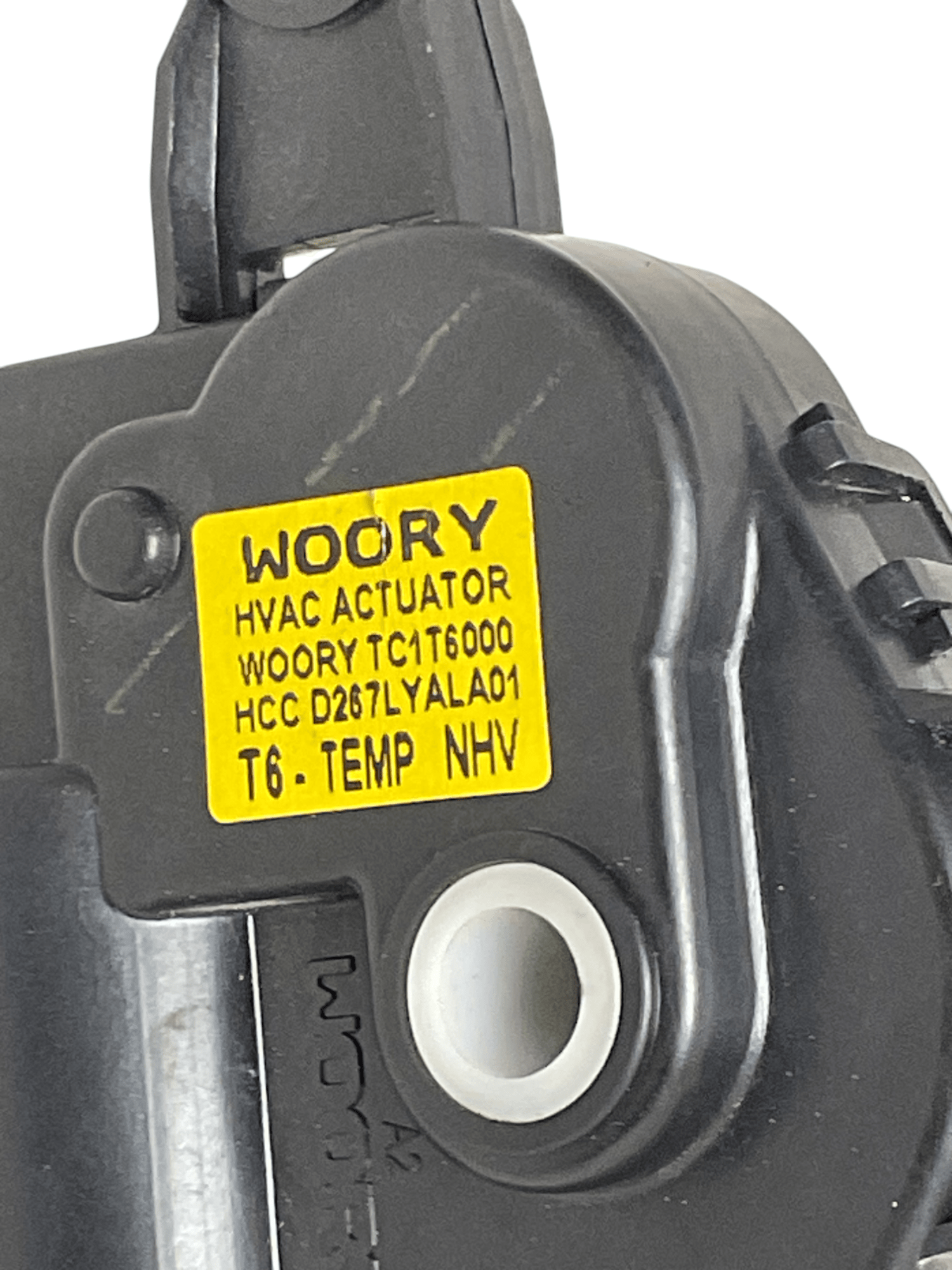 Motor Trampillas Ford Ranger TKE - TC1T6000