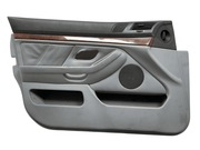 Panel Puerta del izq BMW 5 E39 8159635 - 8159635