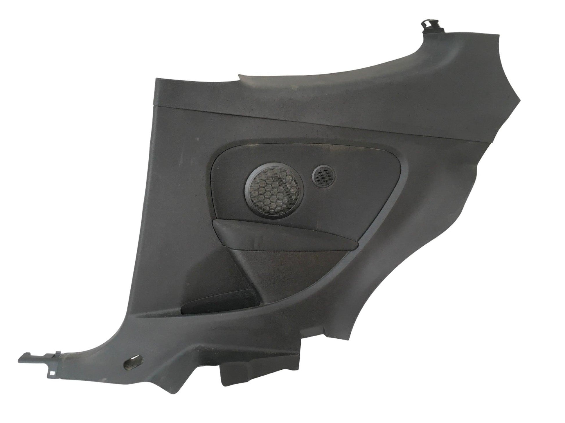 Panel puerta tra dcha Renault Megane III - 769000023R