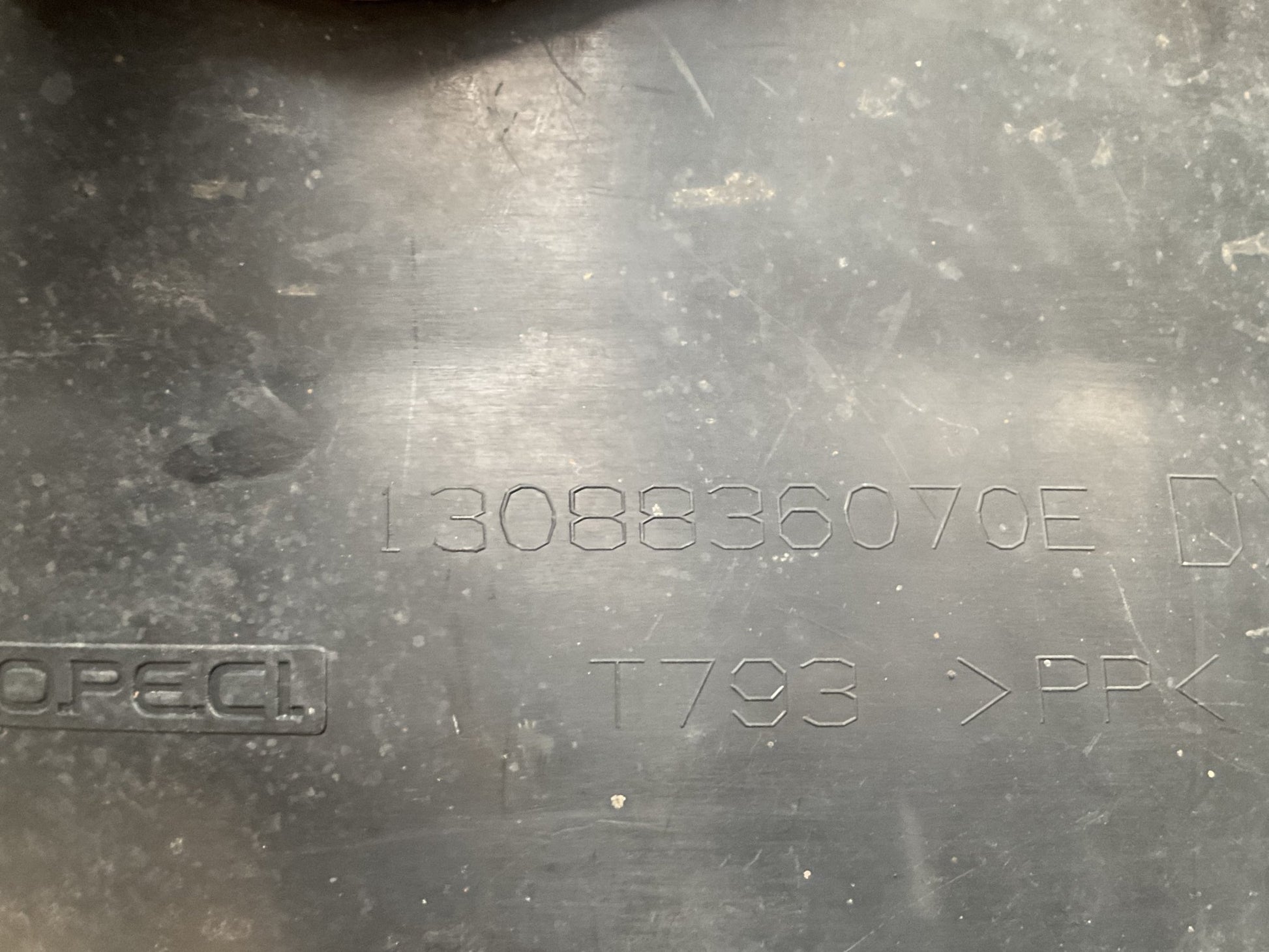 Paso Rueda del dcho Bipper Nemo Fiorino - 