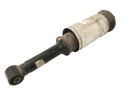 Puntal suspensión delantera Land Rover Discovery III - 22238305