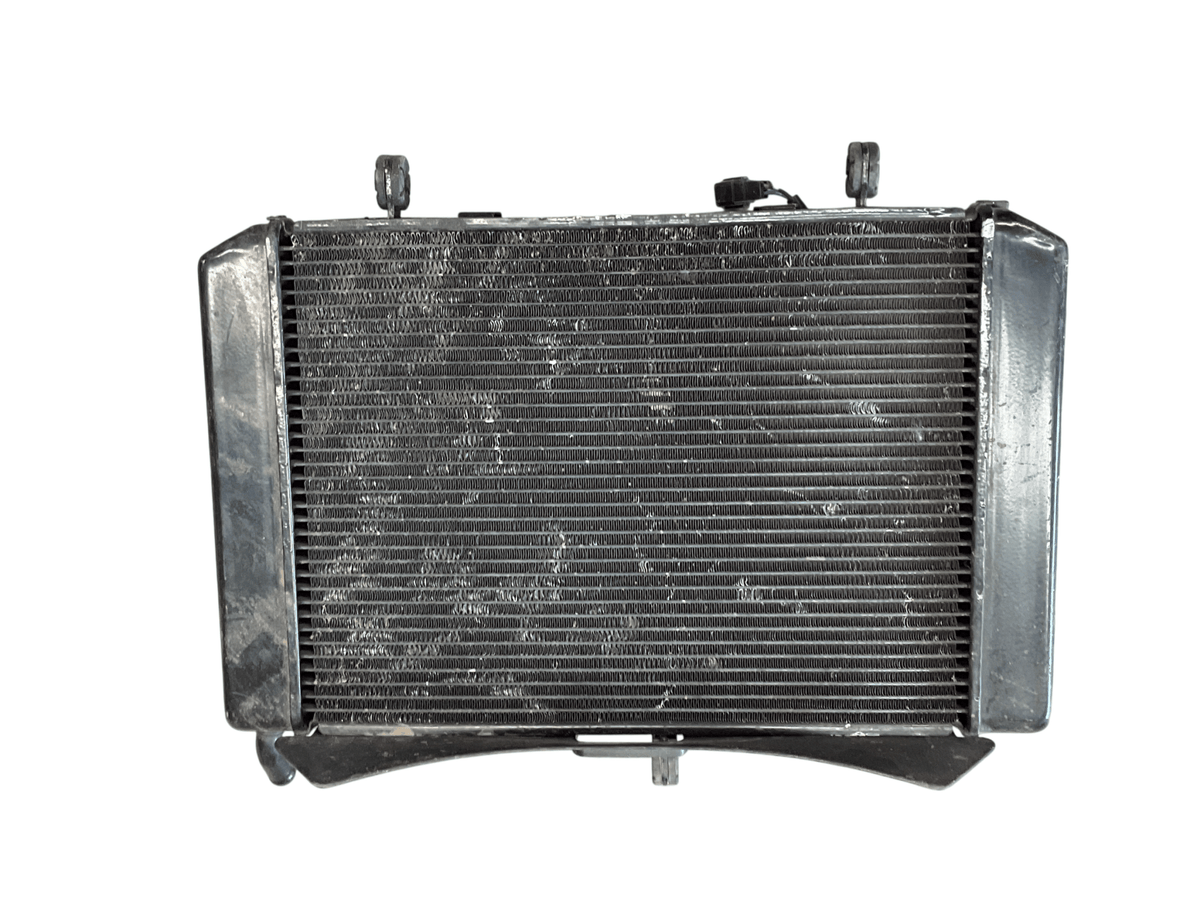 Radiador agua Suzuki GSR 06-11 - 1771044G10000