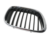 Rejilla derecha capo BMW X5 E53