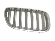 Rejilla derecha capo BMW X5 E53