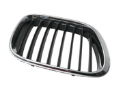 Rejilla derecha capo BMW X5 E53 - 51138247674